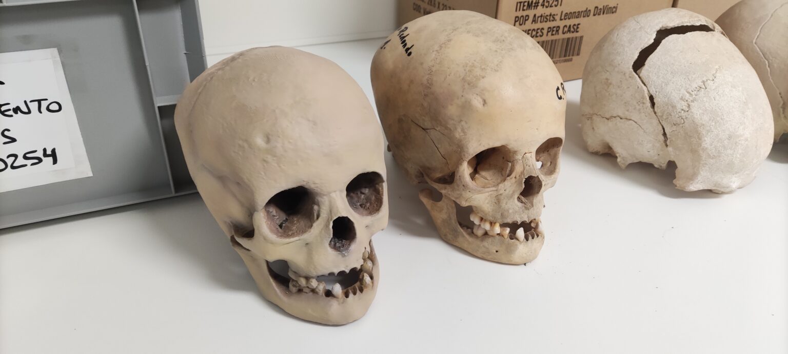 Tecnología y Memoria: Réplicas 3D para el Museo Arqueológico de Villena (MUVI)