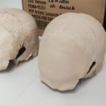 digitalización del patrimonio cultural