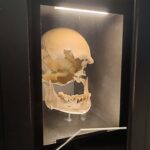 Proceso de documentación digital de piezas arqueológicas